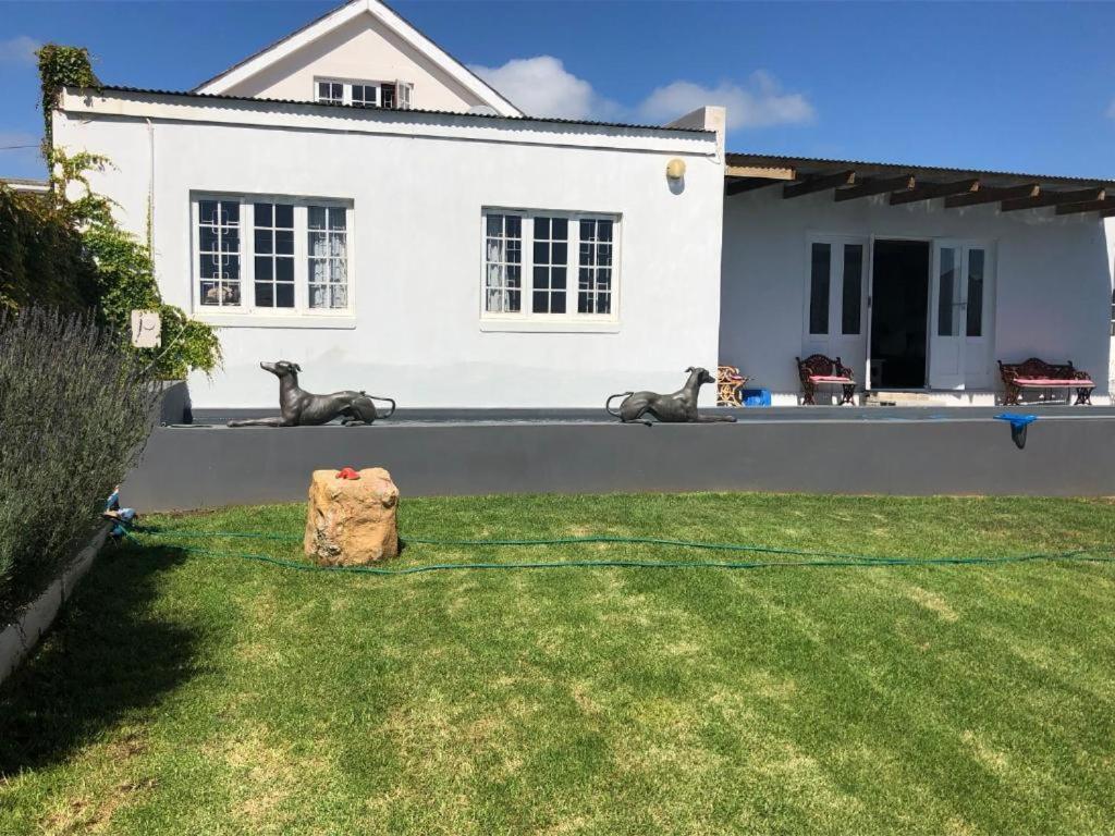 De La Fontaine Guest Cottage And Pool View Luxury Suite Plettenberg Bay Luaran gambar